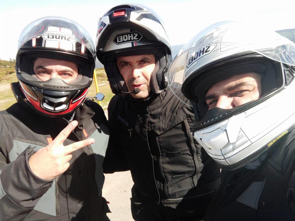 Mis inesperados compañeros de la Osos 1000